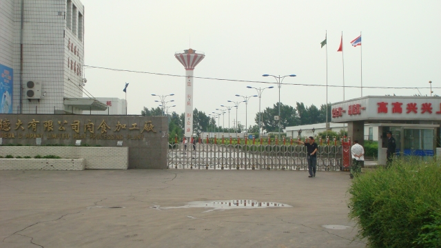 吉林德大有（yǒu）限公司（sī）汙水處理工程（chéng）