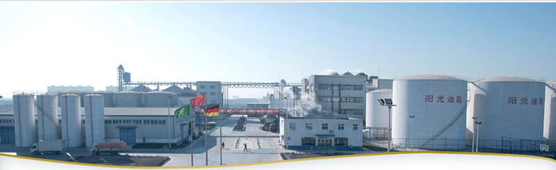 河南陽光油脂集團南陽植物蛋白有限公司汙水處理工（gōng）程（chéng）